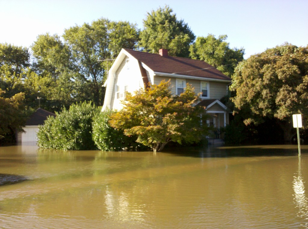 Arlington Water Damage