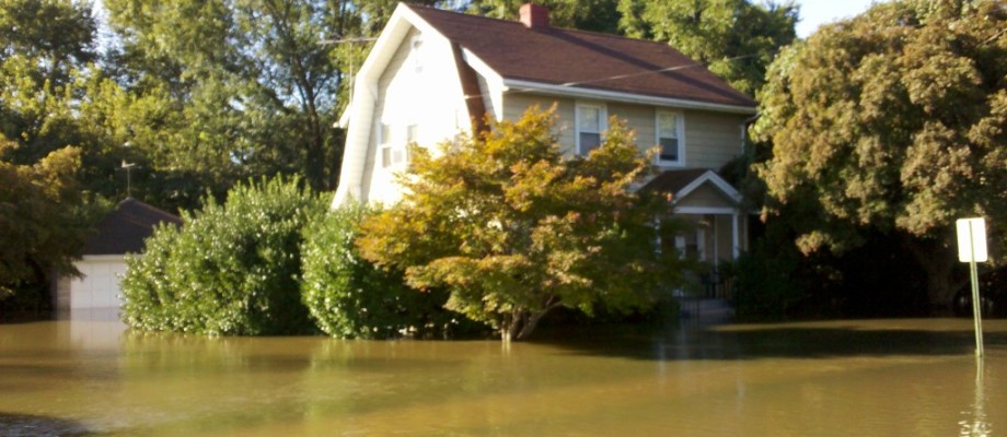 Arlington Water Damage